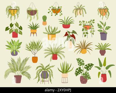 Plantes d'intérieur. Collection de fleurs botaniques différentes plantes à la maison dans des pots récents modèles colorés vectoriels Illustration de Vecteur