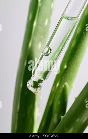 Gros plan d'un compte-gouttes en verre rempli d'extrait d'aloe vera, placé au-dessus de feuilles vertes luxuriantes d'aloe vera, mettant l'accent sur les soins naturels de la peau et le bien-être Banque D'Images