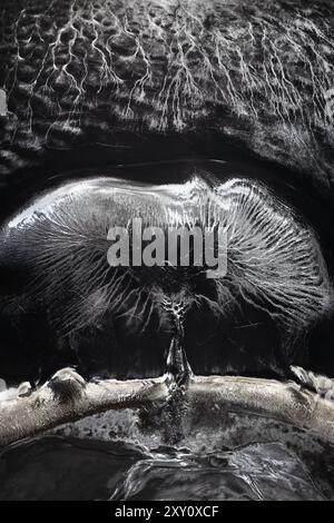 Une superbe photographie aérienne en noir et blanc qui capture les motifs et les textures uniques d'un paysage volcanique dans les Highlands islandais de l'ima Banque D'Images