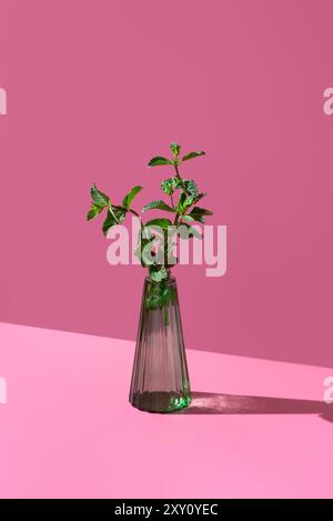Un vase en verre vert contient des brins de menthe poivrée vibrants, placés sur un fond rose doux, mettant en valeur les feuilles fraîches et vertes Banque D'Images