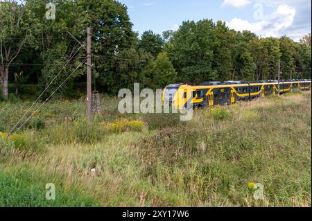 Tukums, Lettonie - 22 août 2024 : train voyageant à travers un paysage verdoyant dans la campagne Banque D'Images