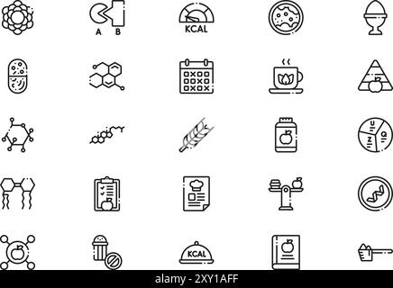 La collection d'icônes de plan nutritionnel est une illustration vectorielle avec trait modifiable. Illustration de Vecteur