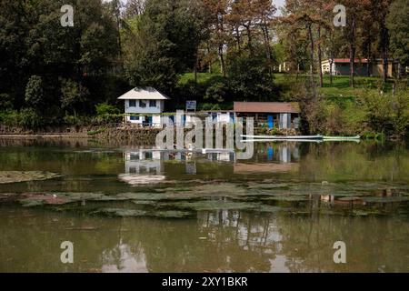 Torino, Italie. 27 août 2024. Plante exotique Elodea Nuttallii dans le tronçon de la ville de Turin du Pô RiverElodea nuttallii est une espèce de plante exotique originaire d'Amérique du Nord et du Sud, et a été introduite comme plante ornementale pour les étangs et aquariums, et est apparue pour la première fois en 2022 la prolifération dans le tronçon de la ville du Pô, était due aux conditions climatiques extrêmes : eaux calmes, chaudes et peu profondes dans l'image, vue générale du fleuve Pô à Turin, au nord-ouest de l'Italie - mardi 27 août 2024. Sport - Soccer . (Photo de Marco Alpozzi/Lapresse) crédit : LaPresse/Alamy Live News Banque D'Images