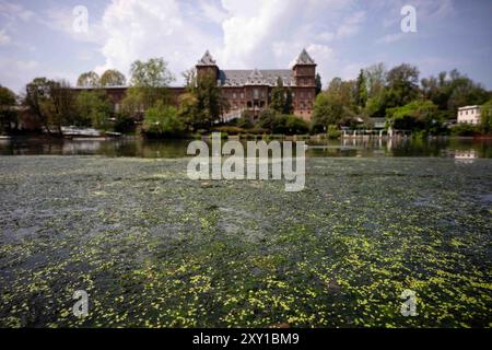 Torino, Italie. 27 août 2024. Plante exotique Elodea Nuttallii dans le tronçon de la ville de Turin du Pô RiverElodea nuttallii est une espèce de plante exotique originaire d'Amérique du Nord et du Sud, et a été introduite comme plante ornementale pour les étangs et aquariums, et est apparue pour la première fois en 2022 la prolifération dans le tronçon de la ville du Pô, était due aux conditions climatiques extrêmes : eaux calmes, chaudes et peu profondes dans l'image, vue générale du fleuve Pô à Turin, au nord-ouest de l'Italie - mardi 27 août 2024. Sport - Soccer . (Photo de Marco Alpozzi/Lapresse) crédit : LaPresse/Alamy Live News Banque D'Images