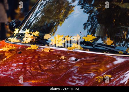 Feuilles jaunes d'automne sur le capot et le pare-brise rouges de la voiture. Saison d'automne, photographie automobile, reflets, changement saisonnier, nature extérieure, voiture Banque D'Images
