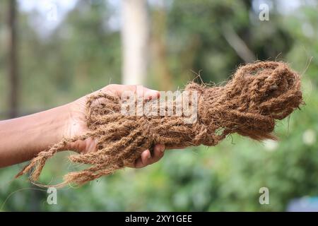 Corde en coco faite de fibres de noix de coco tenues dans la main Banque D'Images
