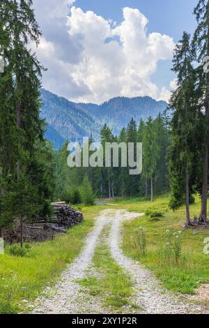 Randonnée près de la Villa - Val Badia - Alta Badia - Italie Banque D'Images