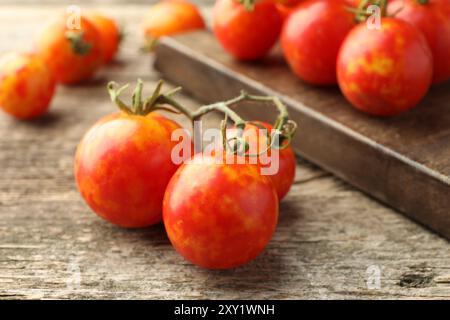 Tomates mûres fraîches sur table en bois, gros plan Banque D'Images