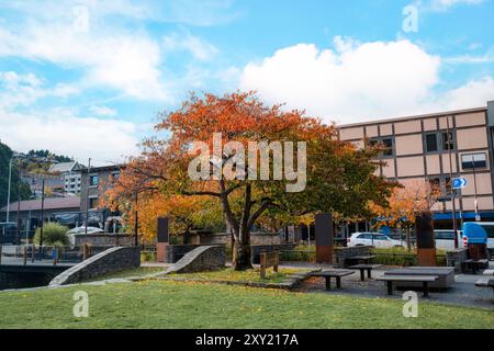 Un grand arbre avec des feuilles d'orange poussant dans un parc public avec banc et bâtiment dans le centre de Queenstown en Nouvelle-Zélande Banque D'Images