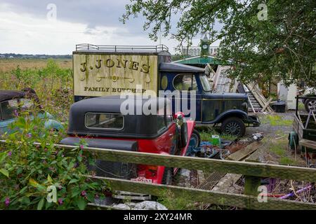 Irlam, Manchester, Royaume-Uni, août 26, 2024:vieux véhicules vintage dans une casse rurale entourée de verdure et de fleurs sauvages. Banque D'Images