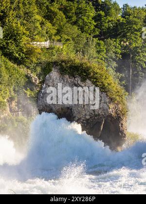 Neuhausen am Rheinfall, Suisse, 8 juillet 2024 : vue sur les chutes du Rhin. Grâce à l'inondation, environ 900 mètres cubes d'eau coulent actuellement Banque D'Images