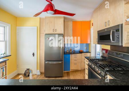 Mur de la cuisine montrant des armoires colorées autour du réfrigérateur et de la porte du sous-sol avec le chat venant par la porte du chat Banque D'Images