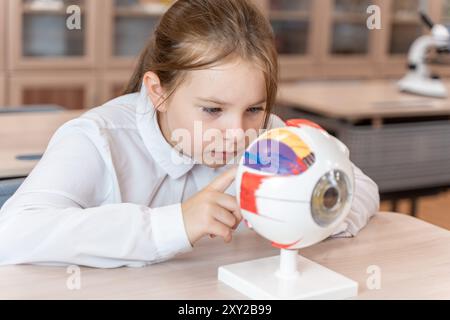 Une écolière étudie un modèle anatomique de l'œil dans une salle de classe de l'école tout en étant assise à son bureau. Photo de haute qualité Banque D'Images