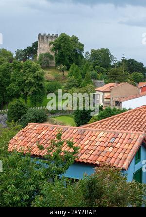 Niché au milieu d'arbres animés et de maisons rustiques, l'impressionnant château de San Martin à côté de la rivière Nalon à Soto del Barco, en Espagne Banque D'Images