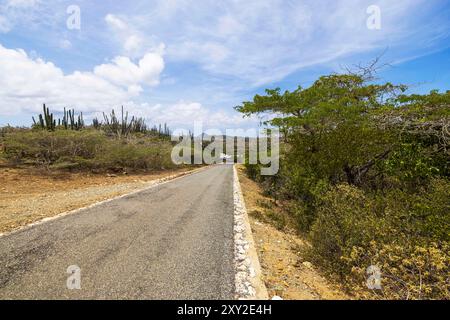 Vue panoramique sur le parc national Arikok d'Aruba route pavée à travers un terrain désertique, avec des collines et une végétation tropicale. Banque D'Images