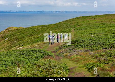 Promeneurs sur le sentier côtier de Skomer Island dans le Pembrokeshire, pays de Galles Banque D'Images