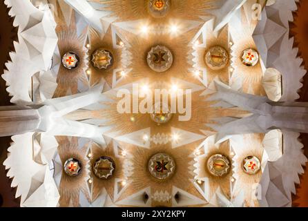 BARCELONE, ESPAGNE - 21 DÉCEMBRE 2015 - intérieur de la Sagrada Familia, cathédrale gothique d'Antonio Gaudi Banque D'Images