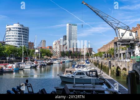 Rotterdam Marina, gastronomie, Ausgehviertel, Sportboot Hafen, Segelboote, Motoryachten, im Binnenhaven, Stadtteil Feijenoord, Rotterdam, Niederlande Wasserbus *** Rotterdam Marina, gastronomie, vie nocturne, port de plaisance, bateaux à voile, yachts à moteur, dans le port intérieur, district de Feijenoord, Rotterdam, pays-Bas Waterbus Banque D'Images