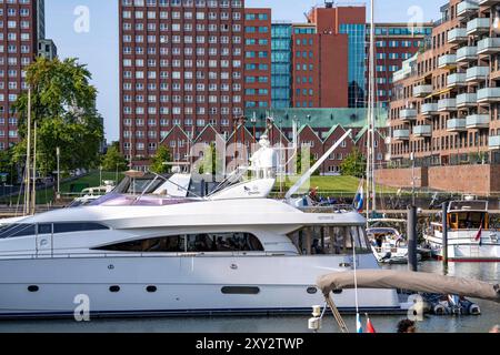 Rotterdam Marina, hinten Wohnhochhäuser am Spoorweghaven, Sportboot Hafen, Segelboote, Motoryachten, im Binnenhaven, Stadtteil Feijenoord, Rotterdam, Niederlande Wasserbus *** Rotterdam Marina, derrière des immeubles résidentiels de grande hauteur au Spoorweghaven, port de plaisance, voiliers, yachts à moteur, dans le port intérieur, quartier Feijenoord, Rotterdam, pays-Bas Waterbus Banque D'Images