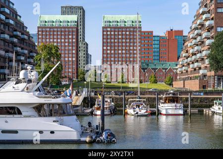 Rotterdam Marina, hinten Wohnhochhäuser am Spoorweghaven, Sportboot Hafen, Segelboote, Motoryachten, im Binnenhaven, Stadtteil Feijenoord, Rotterdam, Niederlande Wasserbus *** Rotterdam Marina, derrière des immeubles résidentiels de grande hauteur au Spoorweghaven, port de plaisance, voiliers, yachts à moteur, dans le port intérieur, quartier Feijenoord, Rotterdam, pays-Bas Waterbus Banque D'Images