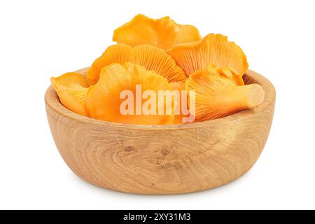 Champignons chanterelles dans un bol en bois isolé sur fond blanc. Banque D'Images