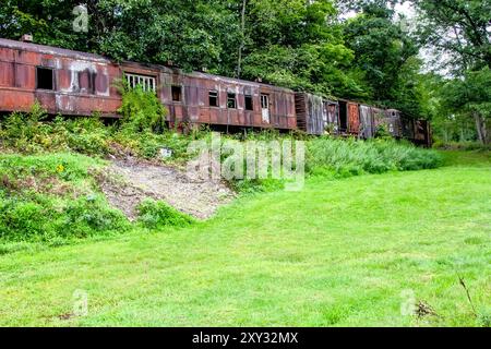 Un wagon à caisse vintage et une voiture de train de passagers sont désaffectés à Cooperstown Junction, New York, reposant dans un champ, montrant son charme rustique. Banque D'Images