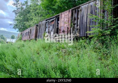 Un wagon à caisse vintage et une voiture de train de passagers sont désaffectés à Cooperstown Junction, New York, reposant dans un champ, montrant son charme rustique. Banque D'Images