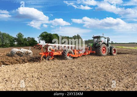 Tracteur avec charrue réversible à 7 lames et packer dans le champ, après la récolte des céréales - 2159 Banque D'Images