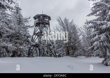 Tour de guet Anna dans les montagnes Orlicke hory, République tchèque Banque D'Images