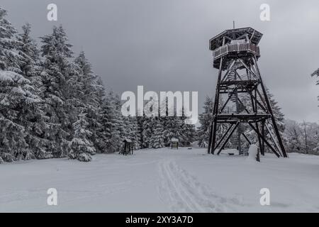 Tour de guet Anna dans les montagnes Orlicke hory, République tchèque Banque D'Images