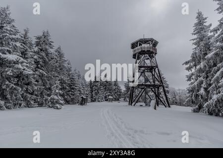 Tour de guet Anna dans les montagnes Orlicke hory, République tchèque Banque D'Images