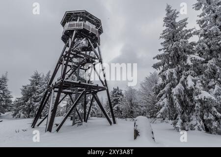 Tour de guet Anna dans les montagnes Orlicke hory, République tchèque Banque D'Images