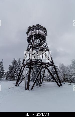 Tour de guet Anna dans les montagnes Orlicke hory, République tchèque Banque D'Images