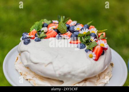 Gâteau Pavlova sur un fond d'herbe Banque D'Images