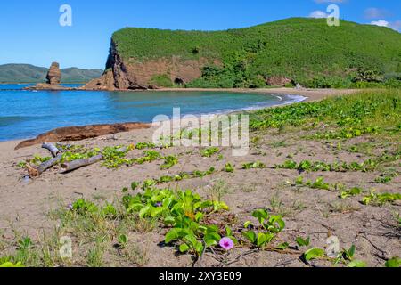 La plage de la Roche percée et la formation rocheuse du Bonhomme de Bourail Banque D'Images