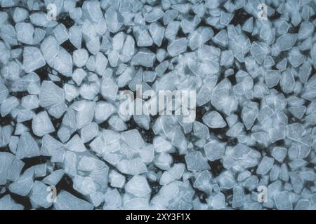 Floes de glace dans la mer au début du printemps vue aérienne, photo abstraite de motif Banque D'Images