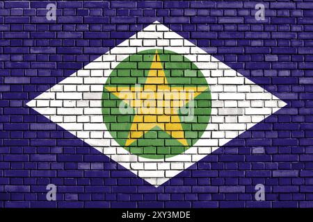 Drapeau de l'État de Mato Grosso peint sur un mur de briques Banque D'Images