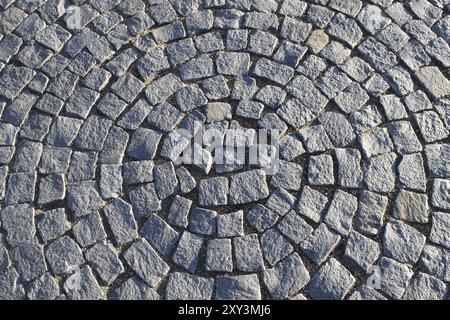 Fragment d'un trottoir sous la forme d'un cercle Banque D'Images