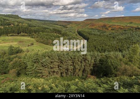 Près de Levisham, North Yorkshire, Angleterre, Royaume-Uni : le 13 septembre 2018 : un train de l'historique passage ferroviaire North Yorkshire Moors, Newtondale vu de S Banque D'Images