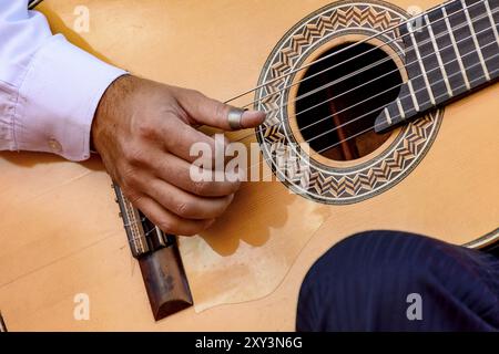 Live performance musicale de musique populaire brésilienne avec sept string acoustic guitar Banque D'Images