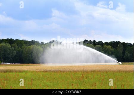 Regardez un champ de maïs d'été avec un système d'arrosage en fonctionnement au premier plan un morceau de terre agricole en jachère, en arrière-plan la lisière d'une forêt. Banque D'Images