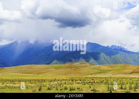 Vue de champ et troupeau de moutons près de la montagne dans la Vallée sacrée des Incas Pérou Banque D'Images