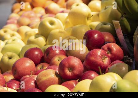 Gros plan, des pommes sur le stand du marché d'un vendeur de fruits dans le hall du marché Bolhao à Porto, Portugal, Europe Banque D'Images