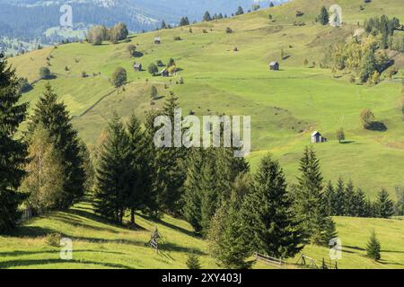 Cammulung Moldovenesc, TRANSYLVANIE/ROUMANIE, 18 SEPTEMBRE : Farlmand près de Campulung Moldovenesc Transylvanie Roumanie le 18 septembre 2018 Banque D'Images