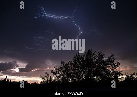Orage sur le désert de sonora au coucher du soleil Banque D'Images