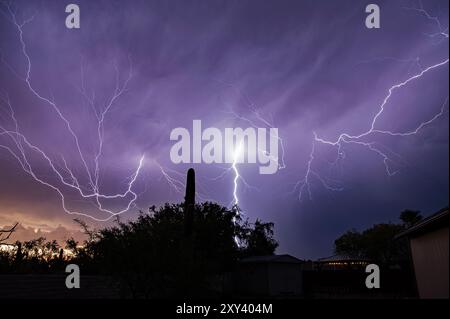 Orage sur le désert de sonora au coucher du soleil Banque D'Images