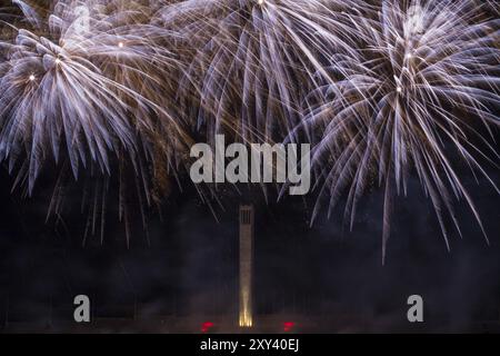 Feux d'artifice brillants et salut de différentes couleurs dans le ciel nocturne Banque D'Images