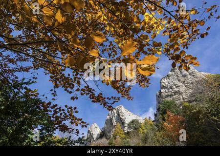 Sierra de Sevil, Sobrarbe, Provincia de Huesca, Comunidad Autonoma de Aragon, cordillera de los Pirineos, Espagne, Europe Banque D'Images