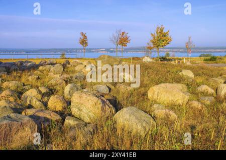 Rochers erratiques de Pritzen, district des lacs de Lusatian, rocher erratique de Pritzen dans le district des lacs de Lusatian Banque D'Images