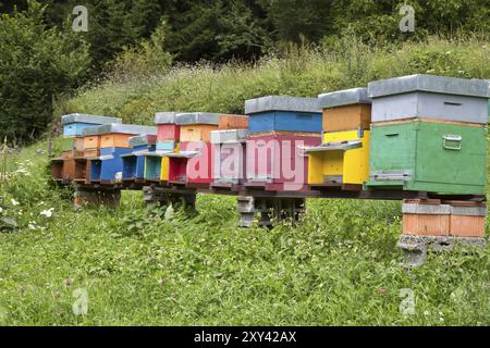 Ruches colorées dans un pré Banque D'Images